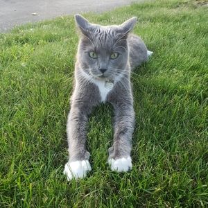 Meet your Posher, Krystyna